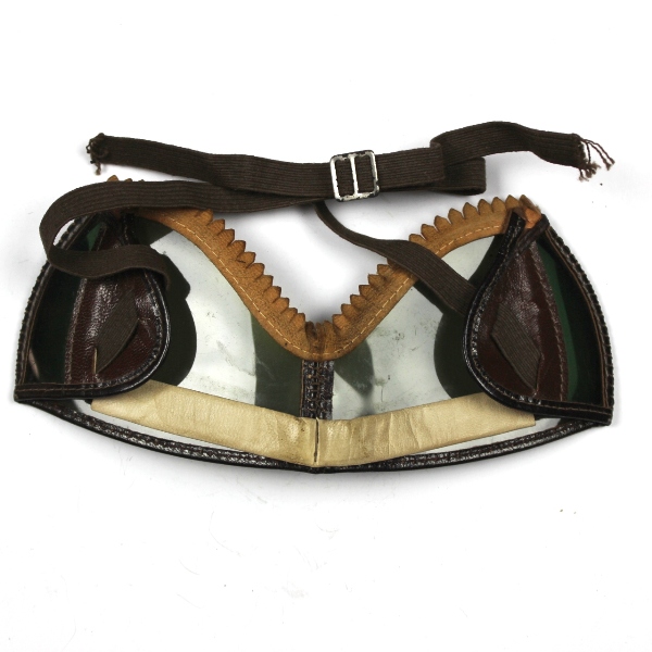 Scarce Polaroid ski goggles